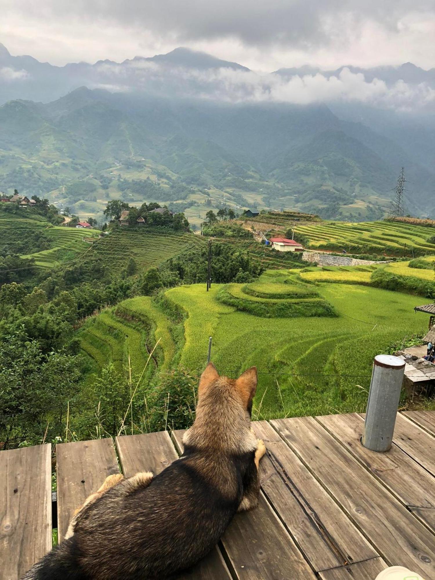 Sapa Rosie Stilt House Apartment Екстериор снимка